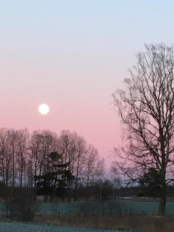 Liten Stuga Mitt I Naturen Pa Kinnekulle Hallekis Exterior photo